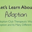 Cover of one volume of The Adoption Club: Therapeutic Workbook Series