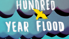 Book excerpt of The Hundred Year Flood, by Matthew Salesses, a novel with a transracial adult adoptee protagonist