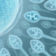 sperm donation