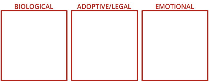 three-real-families-adoptive-legal-biological-emotional-chart-boxes