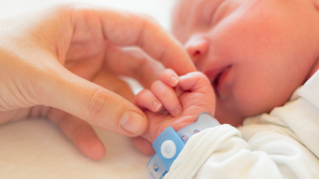 parent holding newborn baby's hand in the hospital after a "stork drop" last-minute adoption placement