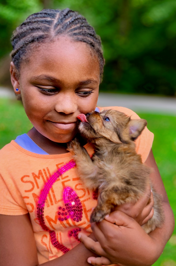 Adoptive Families' 2019 Cover Photo Contest Finalist Harper